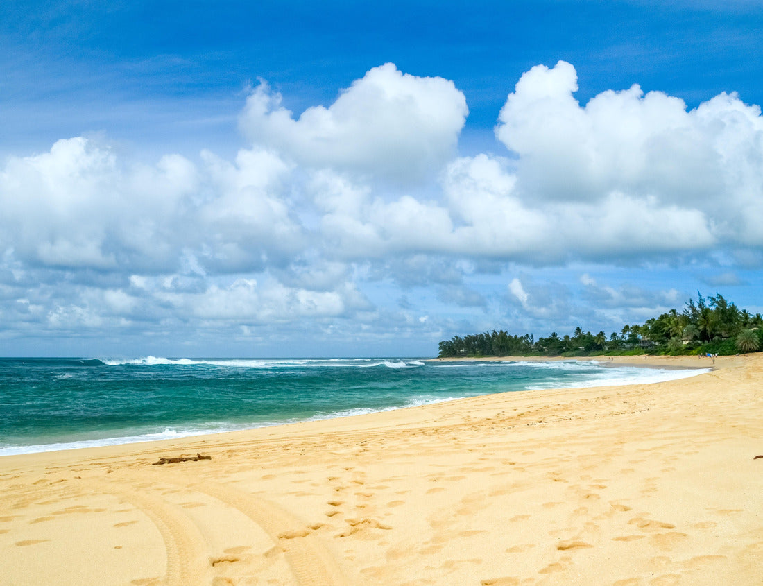 Noah Jigsaw Puzzle Beach in Hawaii Island Kauai, USA 1000 pieces