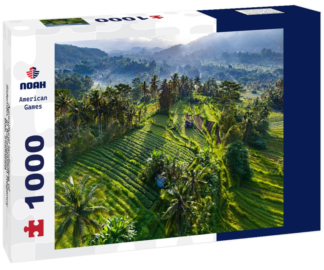 Noah Jigsaw Puzzle Agricultural landscape of Sidemen, in Karangasem Regency, Bali, Indonesia 1000 pieces