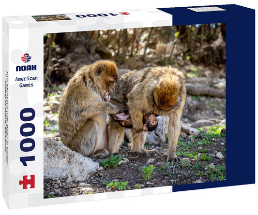 Noah Jigsaw Puzzle Two Monkeys with Baby in Cedar Forest of Ifrane, Morocco 1000 pieces
