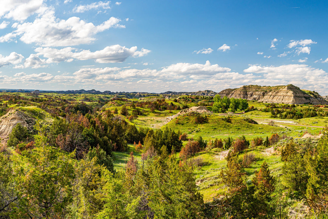 Noah Jigsaw Puzzle North Dakota Badlands 2000 pieces