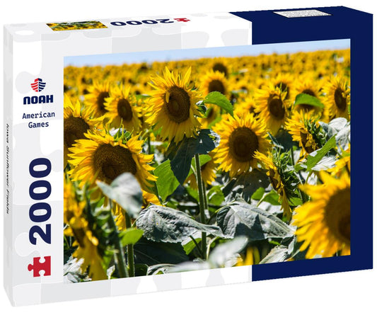 Noah Jigsaw Puzzle Iowa Sunflower Fields 2000 pieces