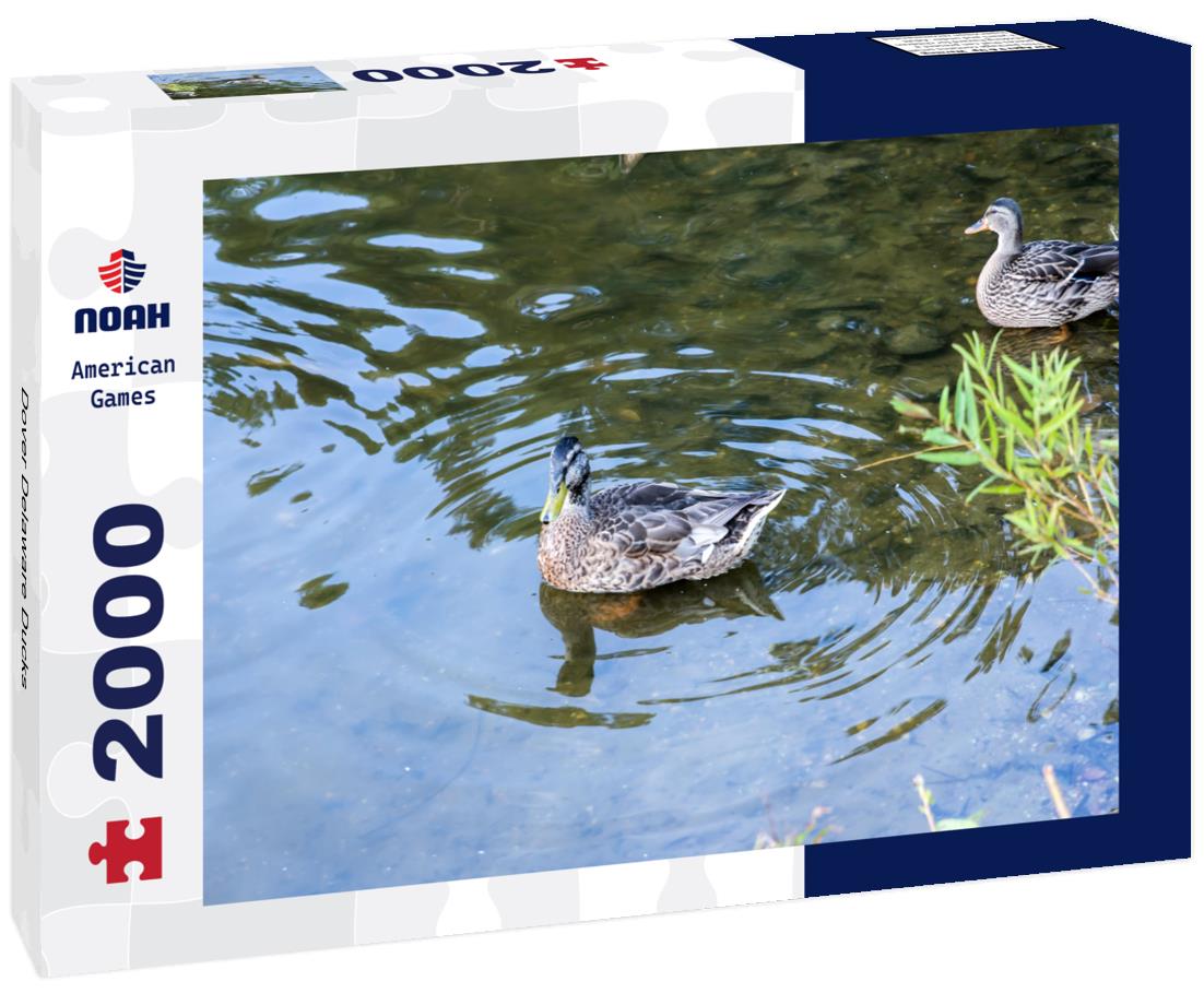 Dover Delaware Ducks 2000pc Puzzle