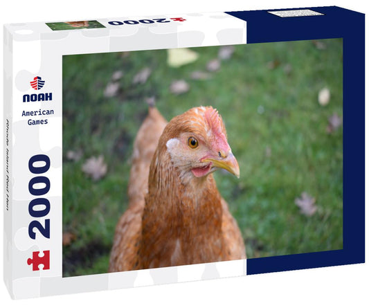 Noah Jigsaw Puzzle Rhode Island Red Hen 2000 pieces