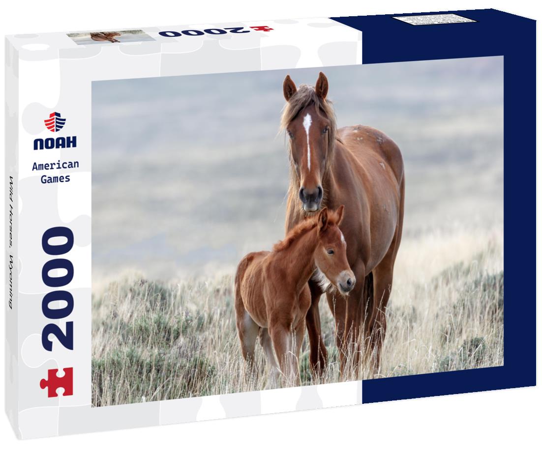 Noah Jigsaw Puzzle Wild Horses, Wyoming 2000 pieces