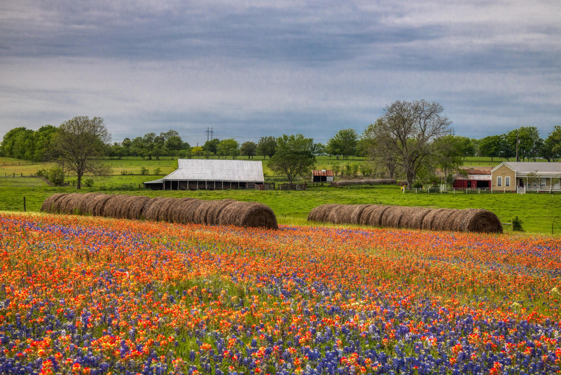 Wildflowers of Texas 2000pc Puzzle