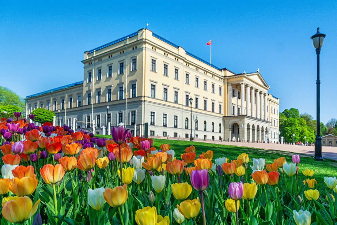 Oslo / Royal Castle 2000pc Puzzle
