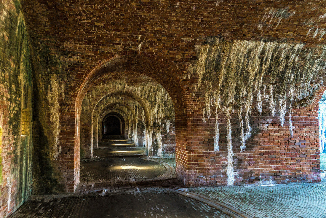 Noah Jigsaw Puzzle Fort Morgan Alabama 2000 pieces