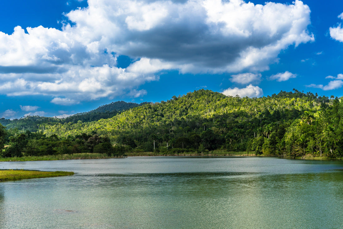 Las Terrazas, Cuba 2000pc Puzzle
