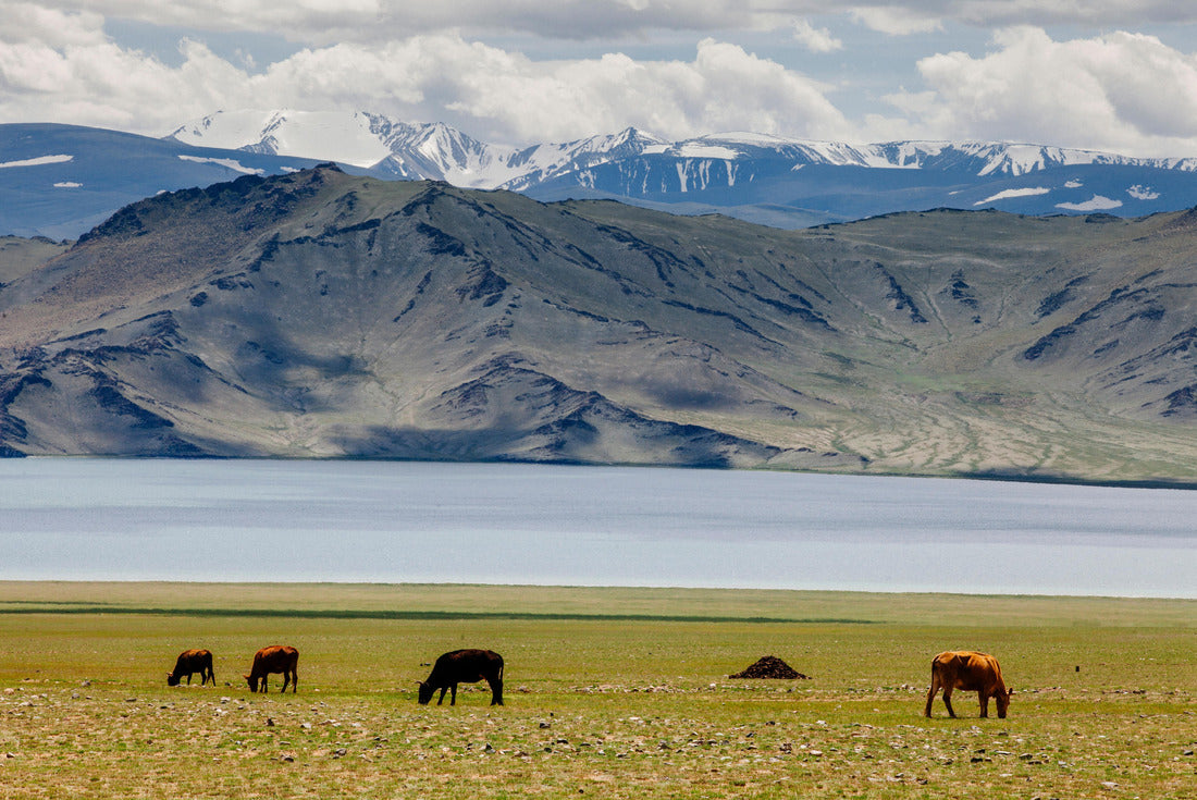 Landscape Mongolia 2000pc Puzzle