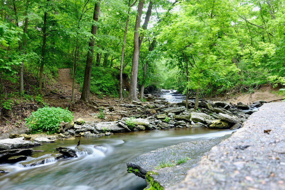 Noah Jigsaw Puzzle Stream in Arkansas 2000 pieces