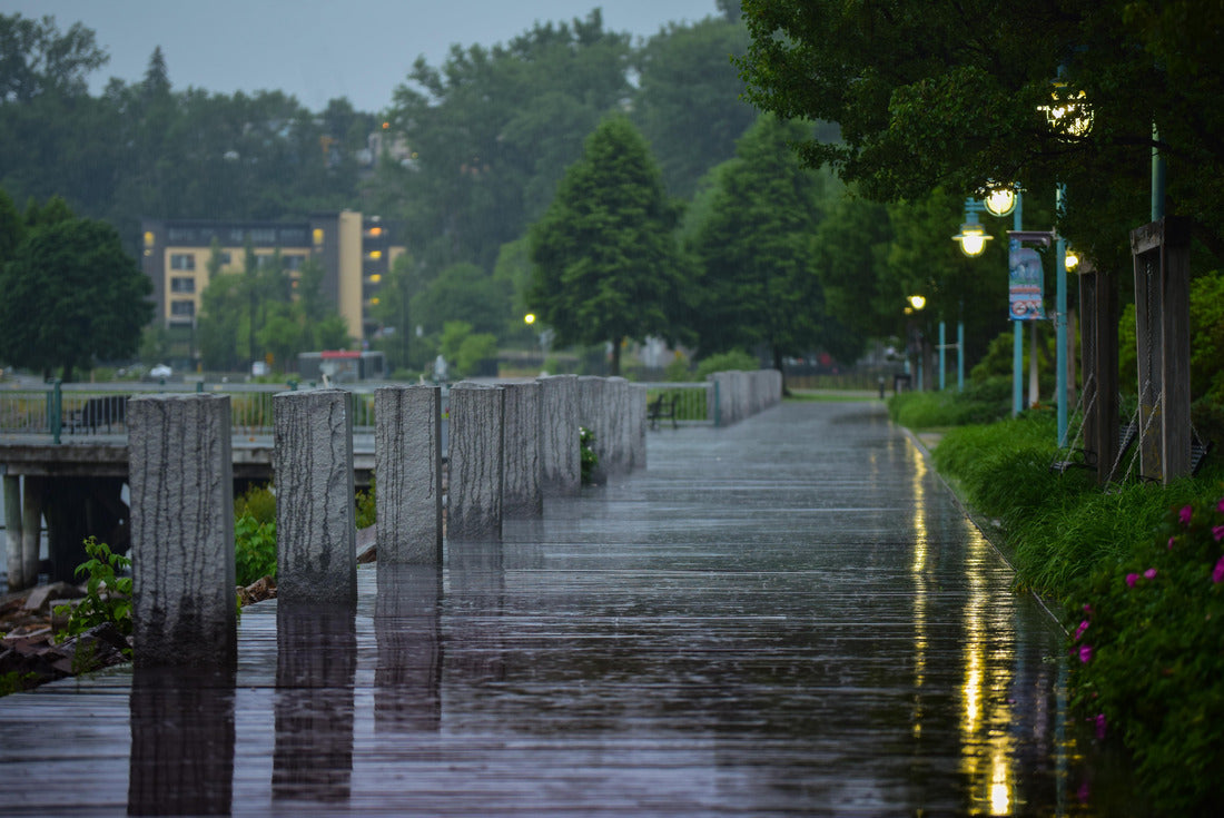 Noah Jigsaw Puzzle Burlington Vermont 2000 pieces
