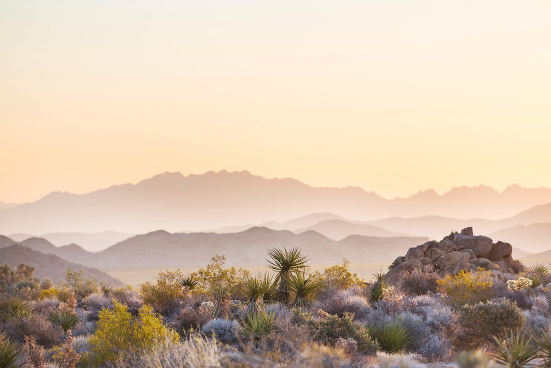 Noah Jigsaw Puzzle Arizona landscapes 2000 pieces