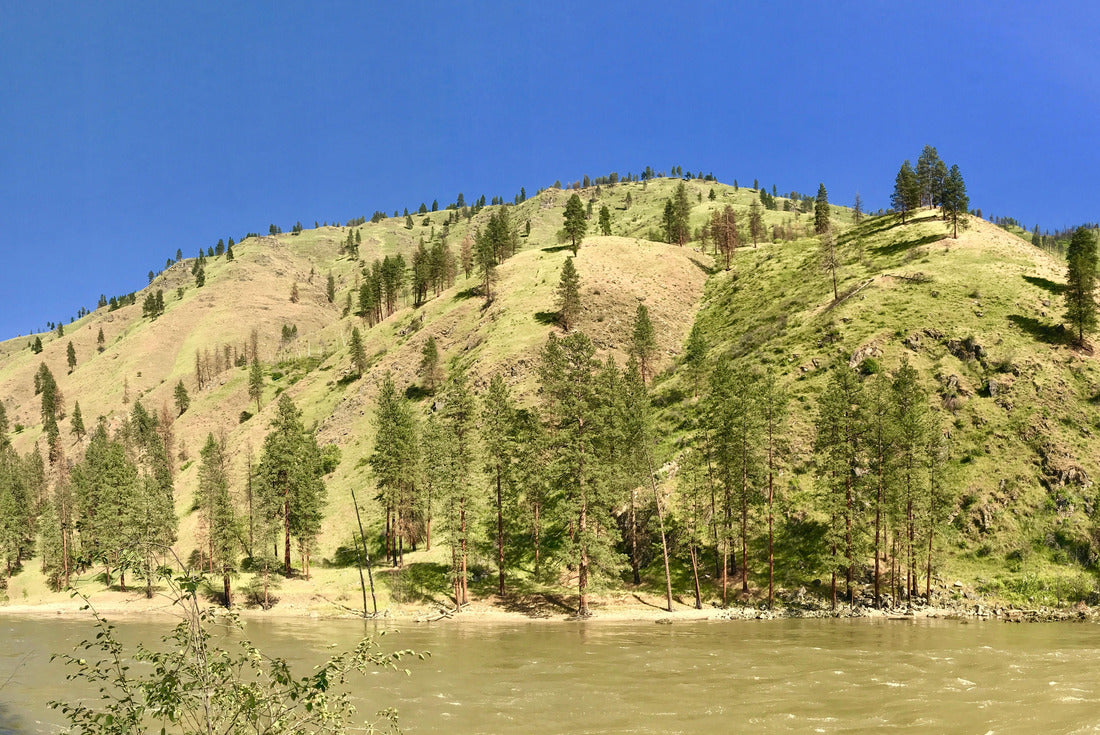 Noah Jigsaw Puzzle Idaho salmon river 2000 pieces