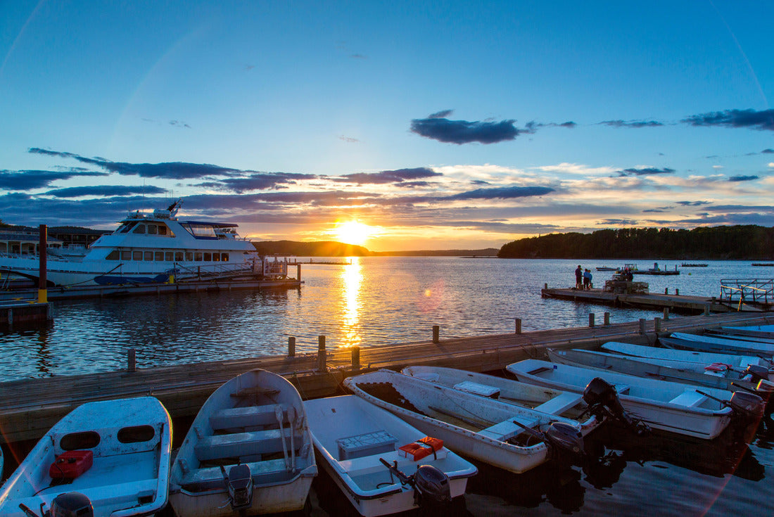 Noah Jigsaw Puzzle Bar Harbor, Maine 2000 pieces