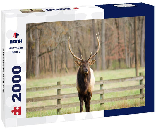 Noah Jigsaw Puzzle Arkansas Bull Elk 2000 pieces