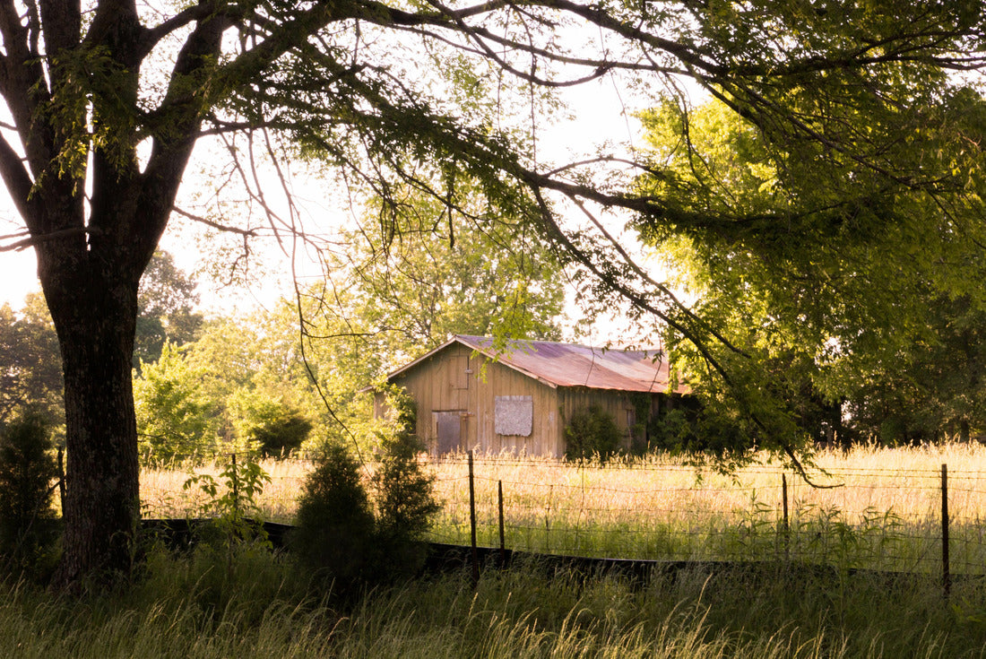 Noah Jigsaw Puzzle Mississippi barn 2000 pieces