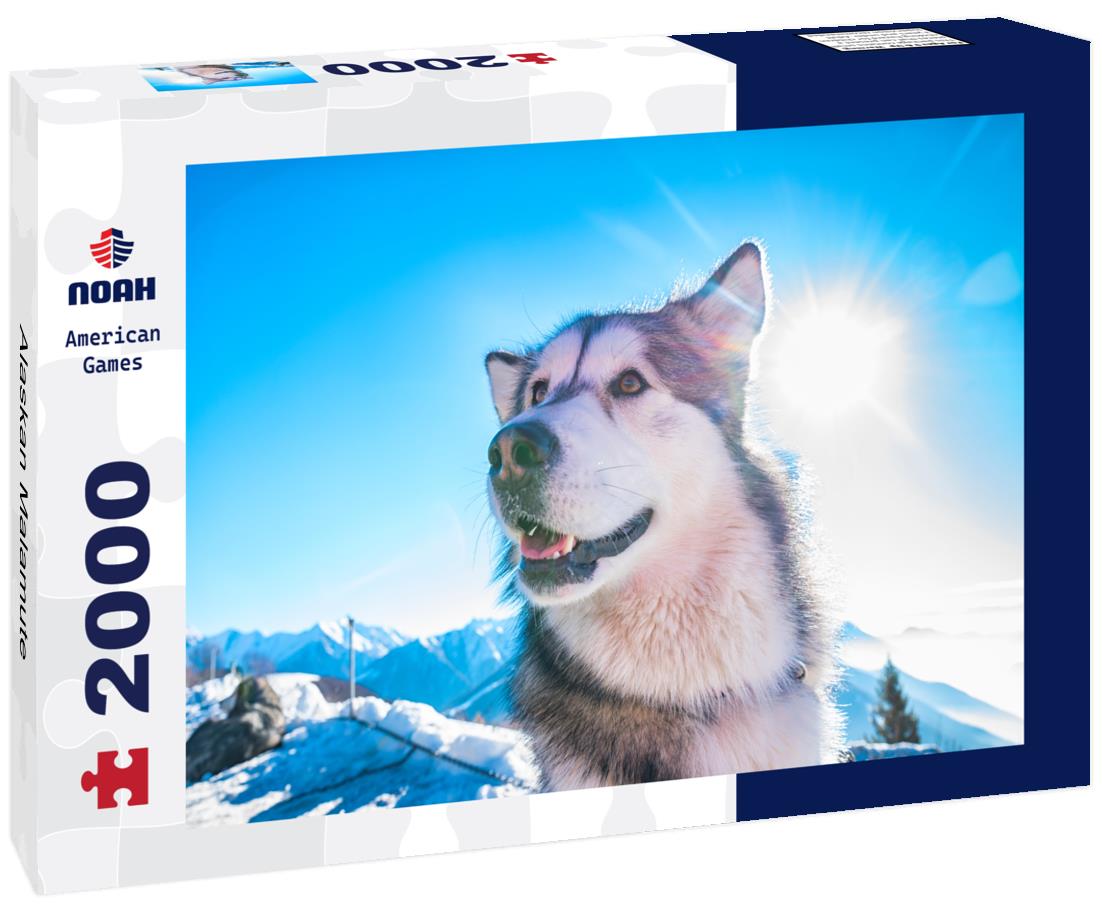 Alaskan Malamute 2000pc Puzzle