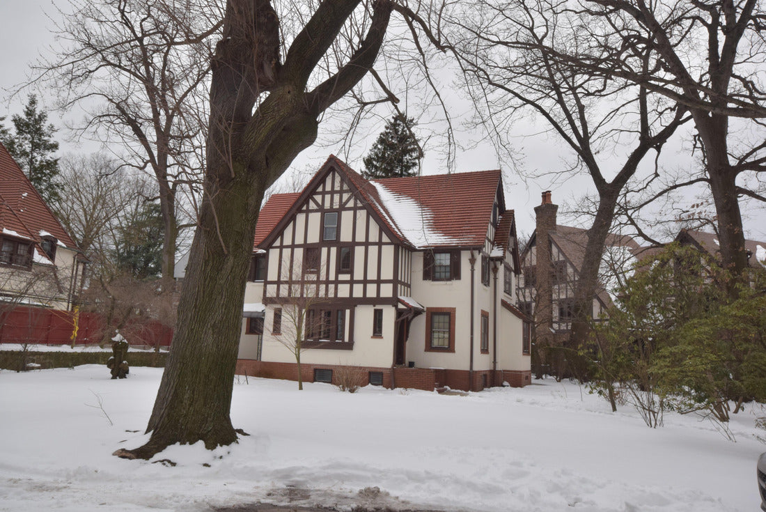 Noah Jigsaw Puzzle new york winter 2000 pieces