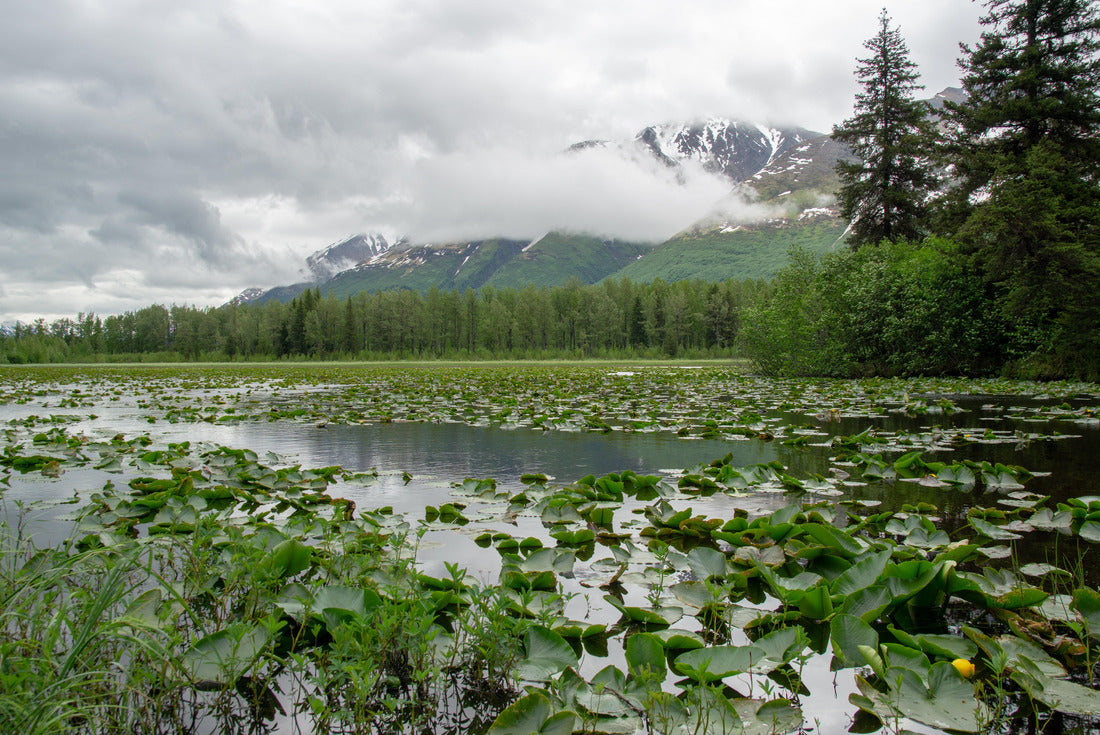 Valdez - Alaska 2000pc Puzzle