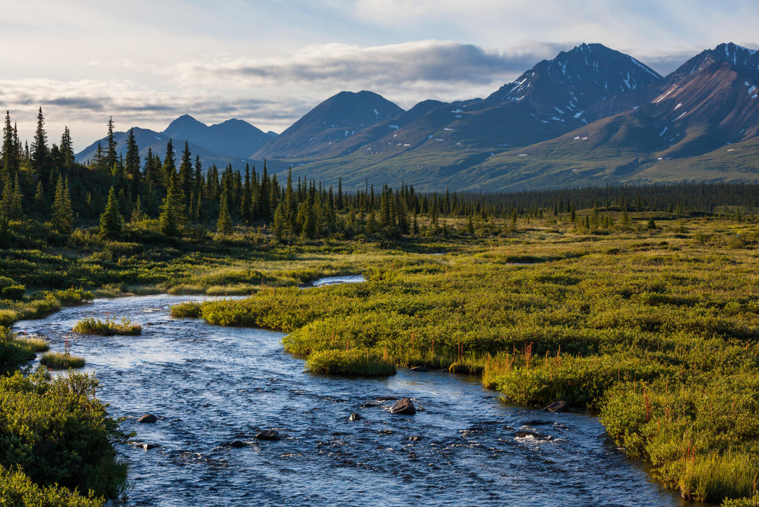 Noah Jigsaw Puzzle Lake in Alaska 2000 pieces