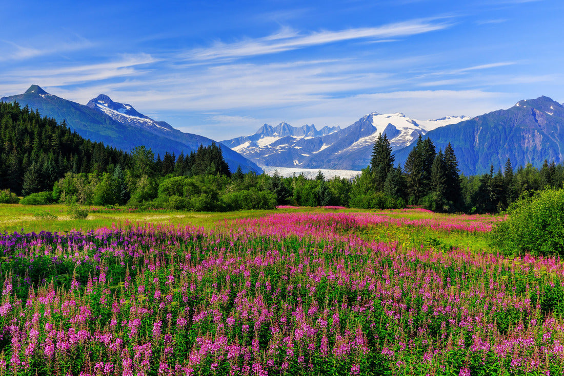 Noah Jigsaw Puzzle Juneau, Alaska 2000 pieces