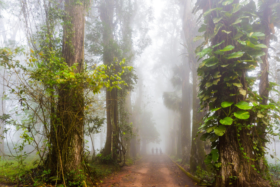 Aburi, Ghana 2000pc Puzzle