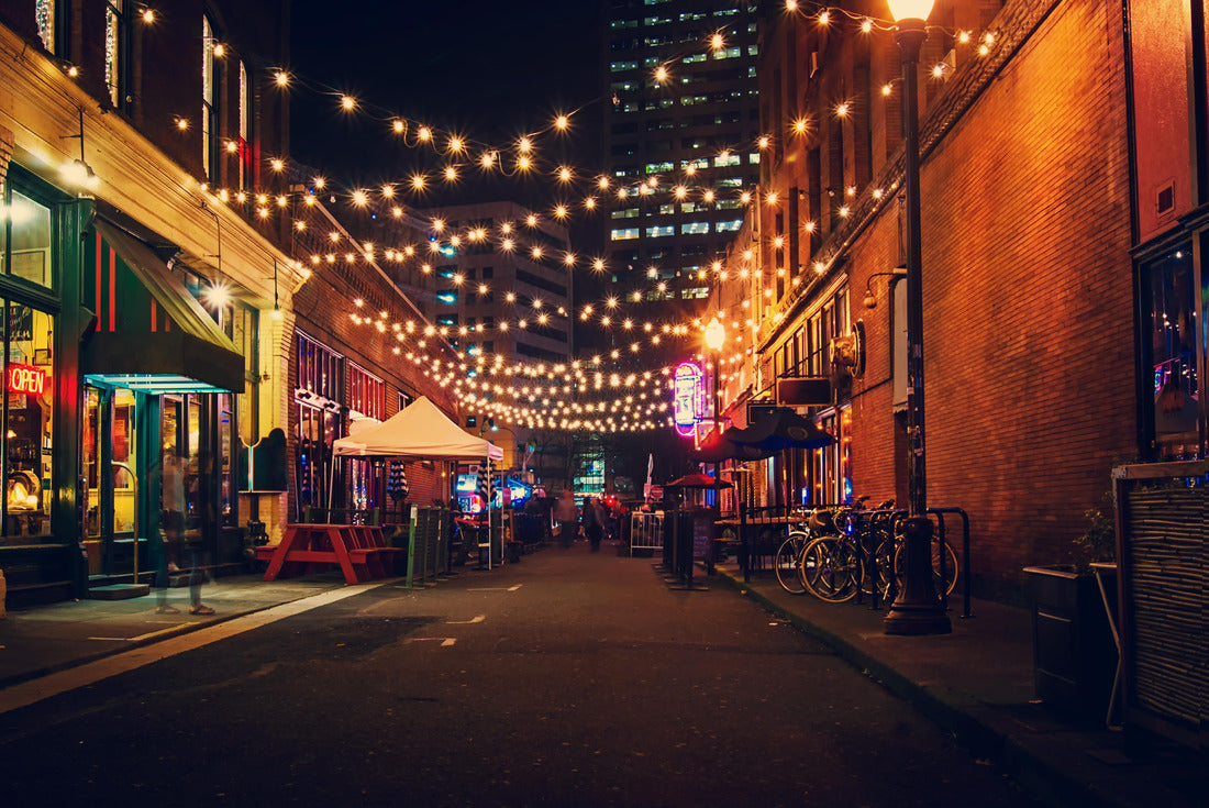 Noah Jigsaw Puzzle Portland's Alleys 2000 pieces