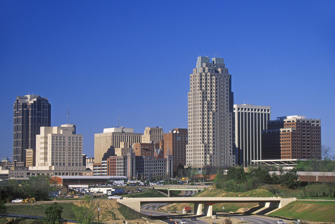 Noah Jigsaw Puzzle Skyline of Raleigh, NC 2000 pieces
