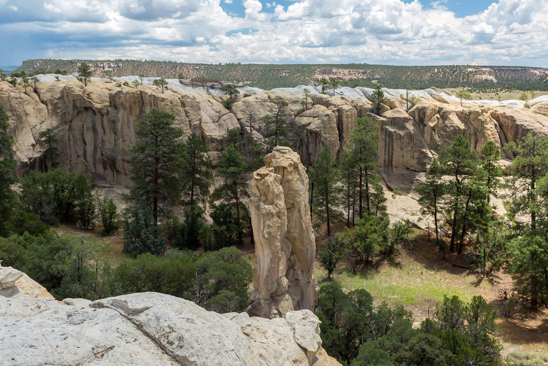 Noah Jigsaw Puzzle El Morro National Monument 2000 pieces