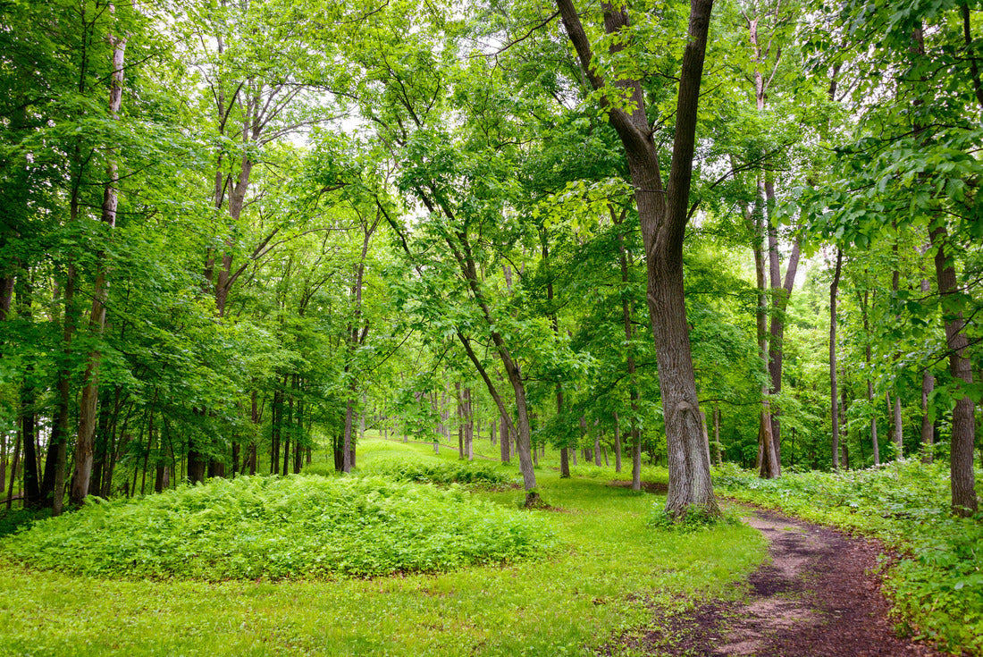 Noah Jigsaw Puzzle Effigy Mounds National Monument 2000 pieces