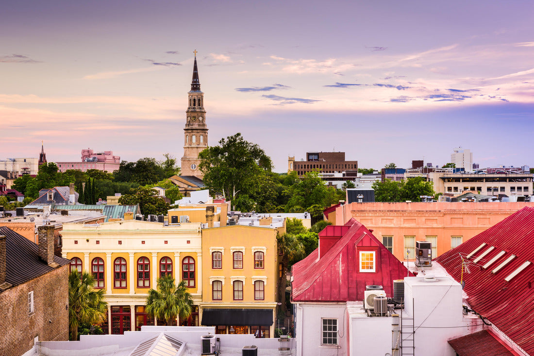 Noah Jigsaw Puzzle Charleston South Carolina Skyline 2000 pieces