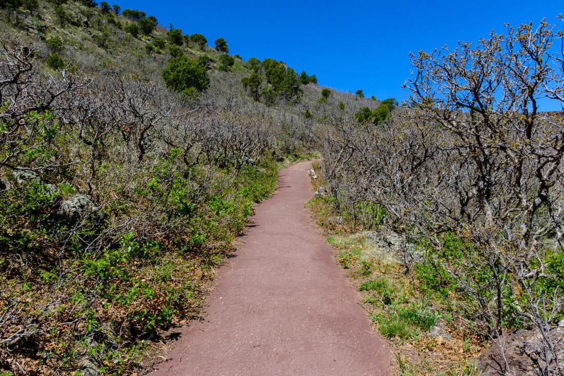 Noah Jigsaw Puzzle Capulin Volcano National Monument 2000 pieces