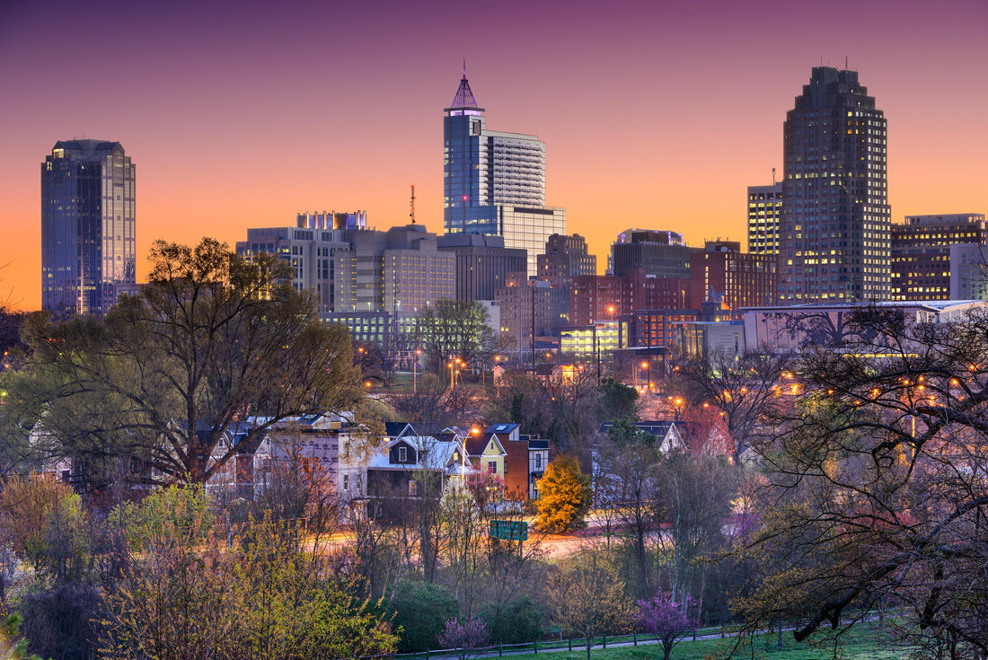 Noah Jigsaw Puzzle Raleigh, North Carolina, USA skyline 2000 pieces