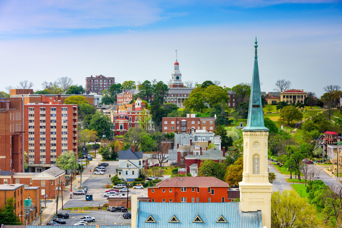 Noah Jigsaw Puzzle Macon, Georgia, USA downtown skyline 2000 pieces