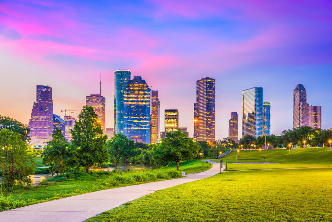 Noah Jigsaw Puzzle Houston, Texas, USA Downtown skyline 2000 pieces