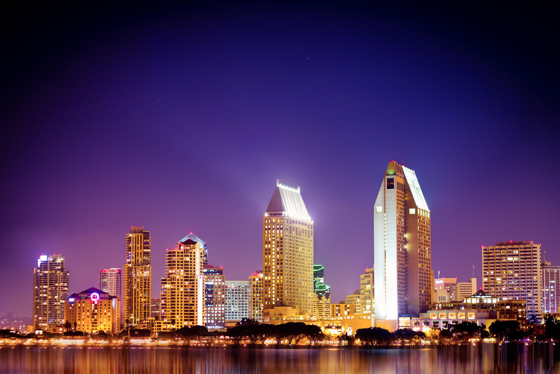 Noah Jigsaw Puzzle San Diego California skyline at night 2000 pieces