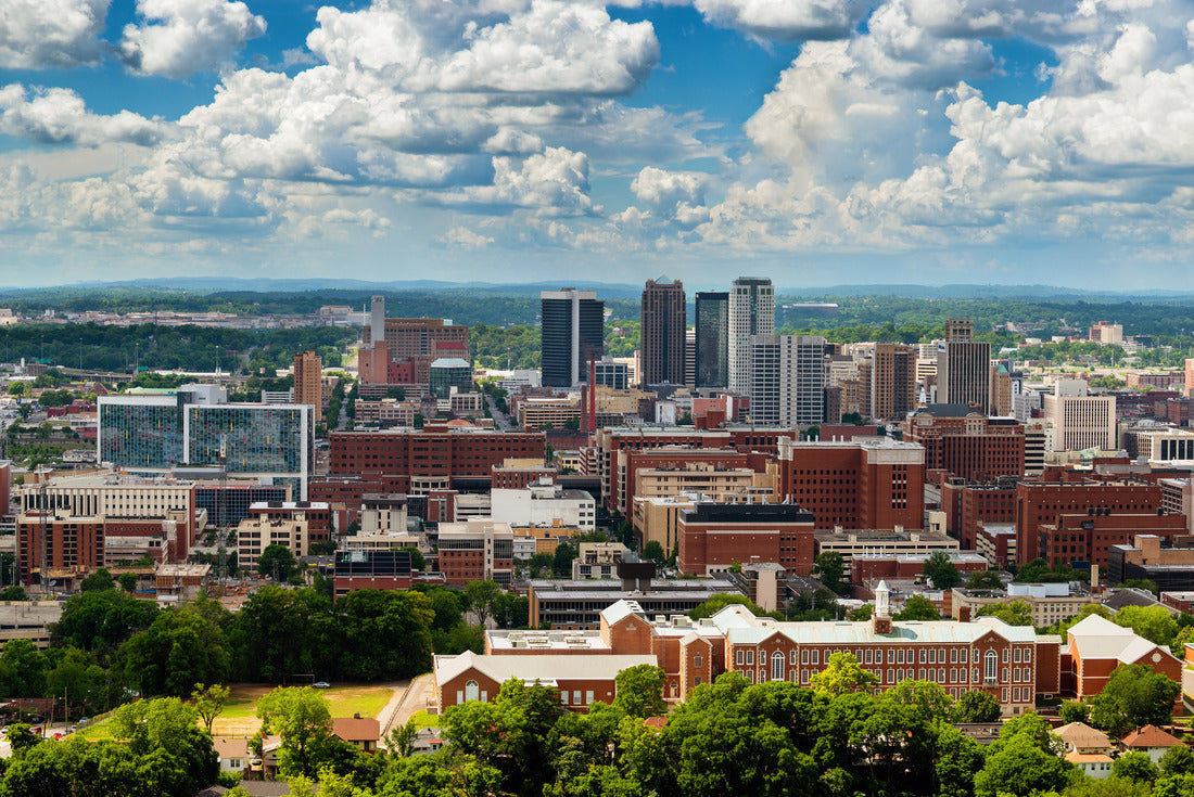 Noah Jigsaw Puzzle Birmingham, Alabama, from Vulcan Park 2000 pieces
