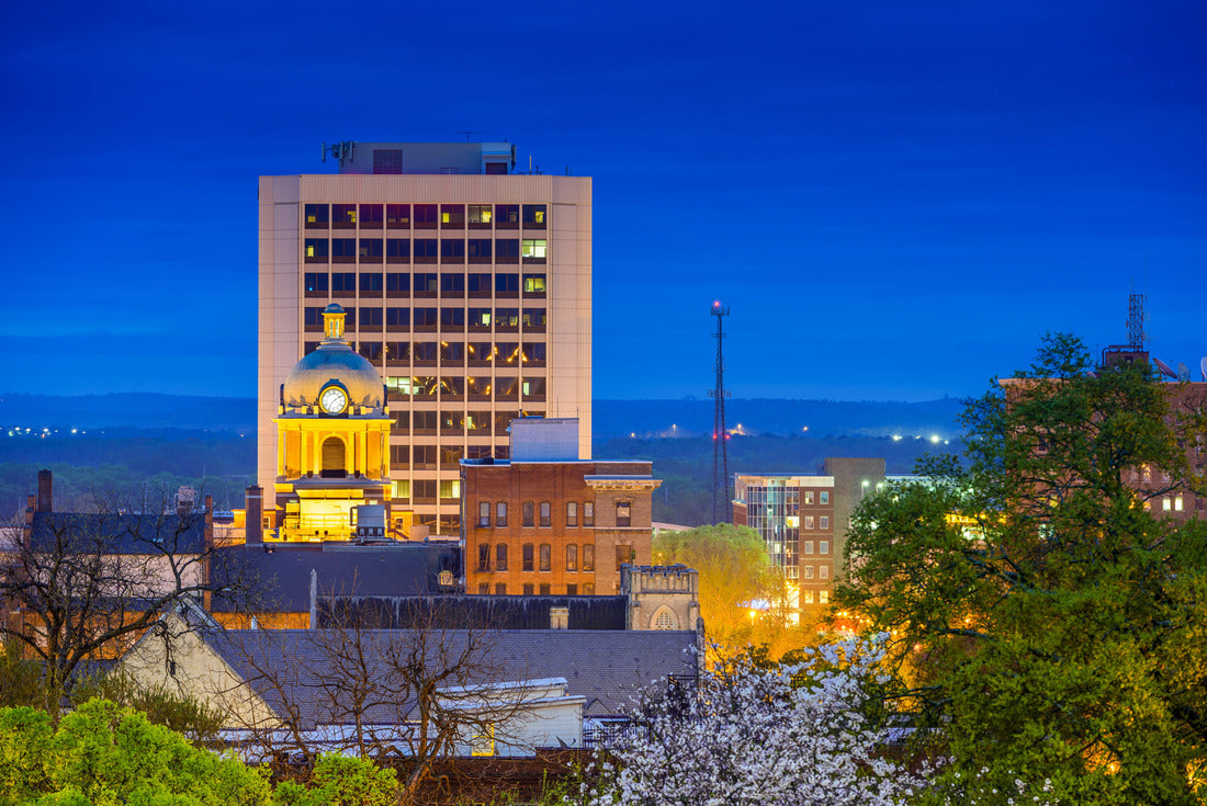 Noah Jigsaw Puzzle Macon, Georgia, USA downtown cityscape 2000 pieces