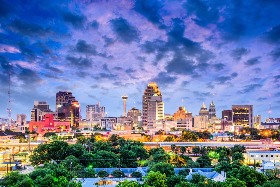 Noah Jigsaw Puzzle San Antonio, Texas, USA downtown skyline 2000 pieces