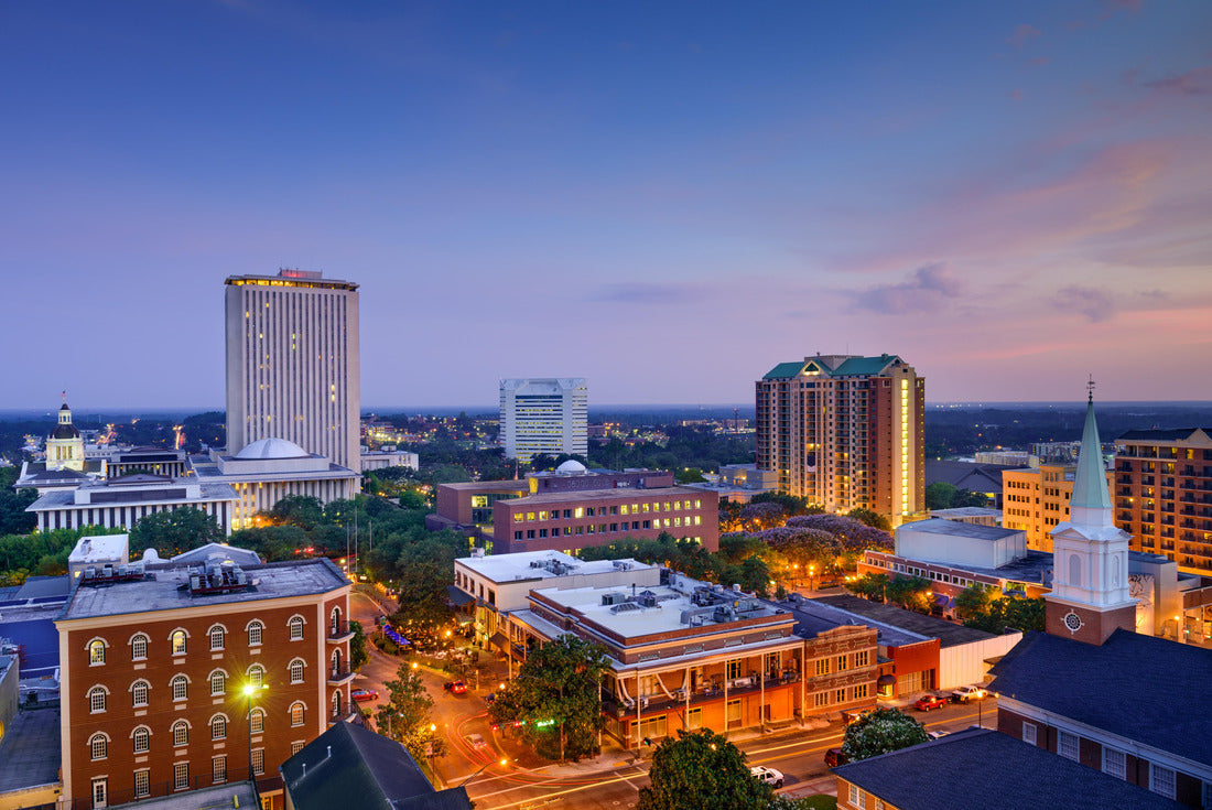 Noah Jigsaw Puzzle Tallahassee, Florida, USA downtown skyline 2000 pieces