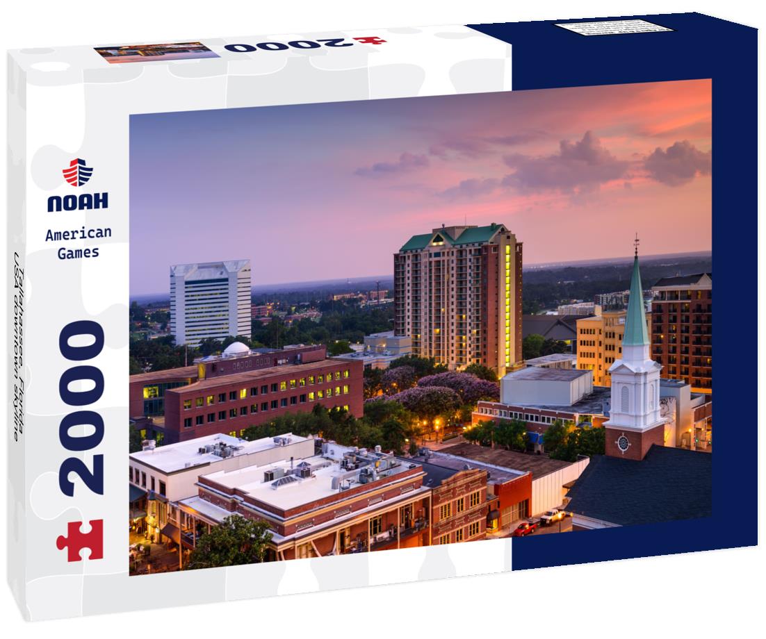 Noah Jigsaw Puzzle Tallahassee, Florida, USA downtown skyline 2000 pieces