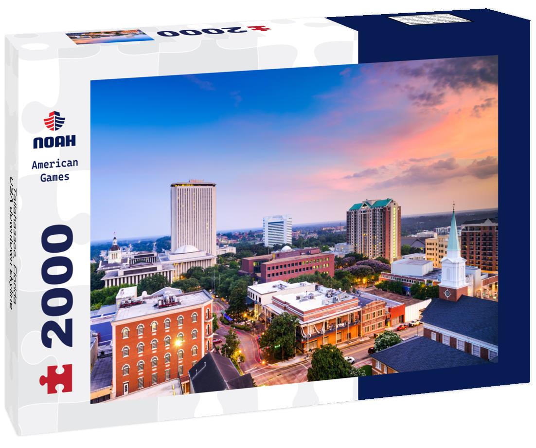 Noah Jigsaw Puzzle Tallahassee, Florida, USA downtown skyline 2000 pieces
