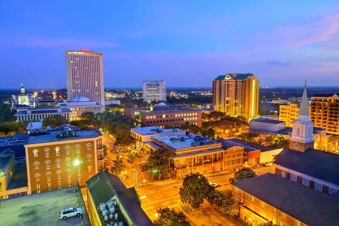 Noah Jigsaw Puzzle Tallahassee, Florida, USA downtown skyline 2000 pieces