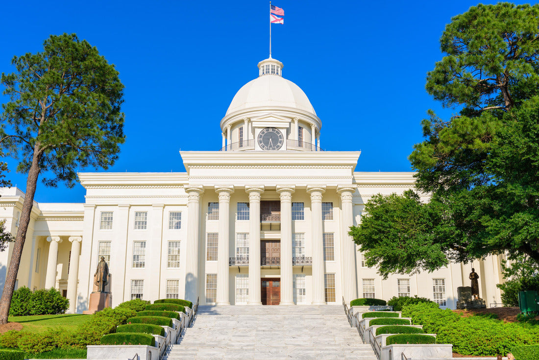 Noah Jigsaw Puzzle Alabama State Capitol in Montgomery, Alabama 2000 pieces