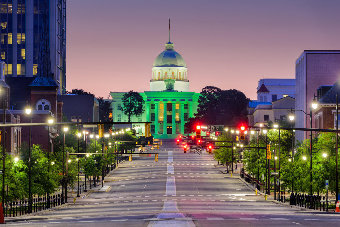 Noah Jigsaw Puzzle Montgomery, Alabama, USA with the State Capitol 2000 pieces