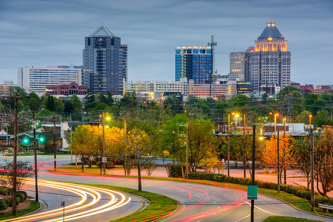 Noah Jigsaw Puzzle Greensboro, North Carolina, USA downtown skyline 2000 pieces