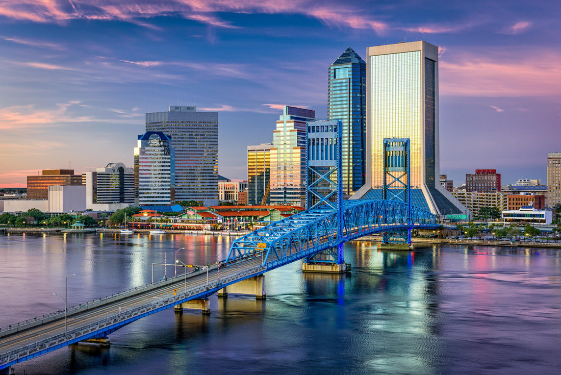 Noah Jigsaw Puzzle Jacksonville, Florida, USA Downtown City Skyline 2000 pieces