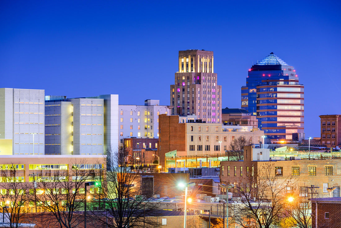 Noah Jigsaw Puzzle Durham, North Carolina, USA downtown city skyline 2000 pieces