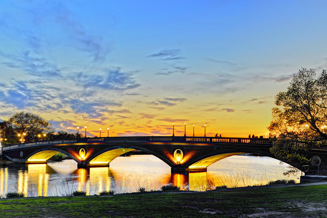 Noah Jigsaw Puzzle Weeks Memorial Bridge in Cambridge, Massachusetts 2000 pieces
