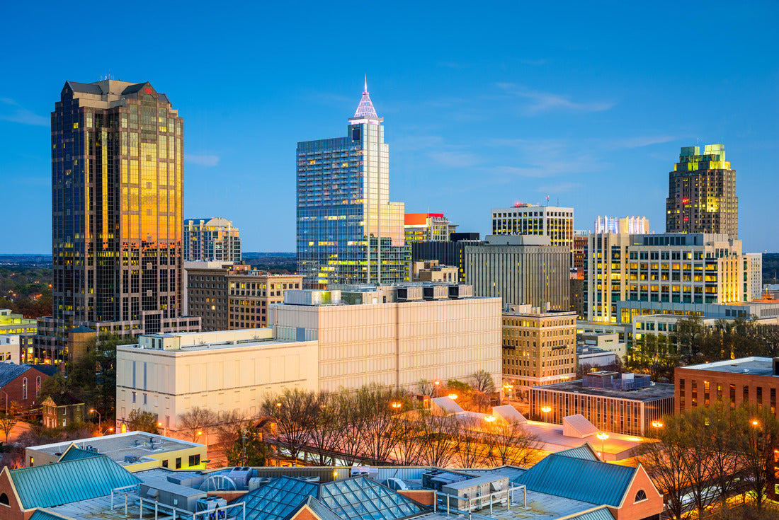 Noah Jigsaw Puzzle Raleigh, North Carolina, USA downtown city skyline 2000 pieces